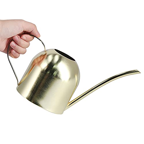 Stainless Steel Watering Can for Indoor Plants 30 Oz Golden Watering Kettle Pot with Long Spout Vintage House Plant Watering Cans for Succulent Bonsai Garden Balcony Home Flowers