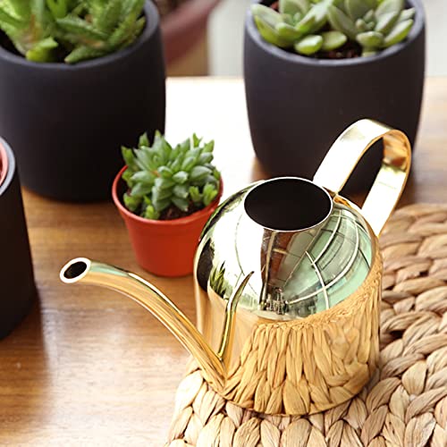 Stainless Steel Watering Can for Indoor Plants 30 Oz Golden Watering Kettle Pot with Long Spout Vintage House Plant Watering Cans for Succulent Bonsai Garden Balcony Home Flowers