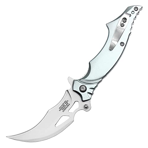 Buckshot Knives 7.5" Overall Spring Assisted Folding Pocket Knife With Fantasy Dragon Aluminum Handle (PWT430CH)