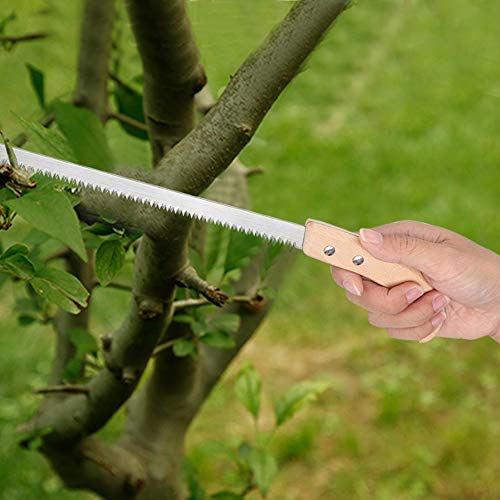 Bonsai Saw, Hand Saw Small Tooth Saw Garden Tools Narrow 325mm Narrow Blade Tree Saw Bonsai Pruning Saw for Branch