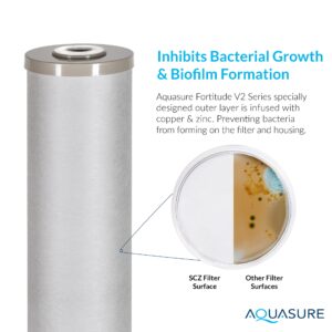 Aquasure Fortitude V2 Series | Sediment/Carbon/Zinc Bacteria Inhibiting Triple Purpose Replacement Filter - Large