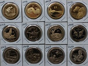 2020 s 2009 thru 2020 s proof sacagawea dollar 12 native american $1 coin collection $1 us mint proof