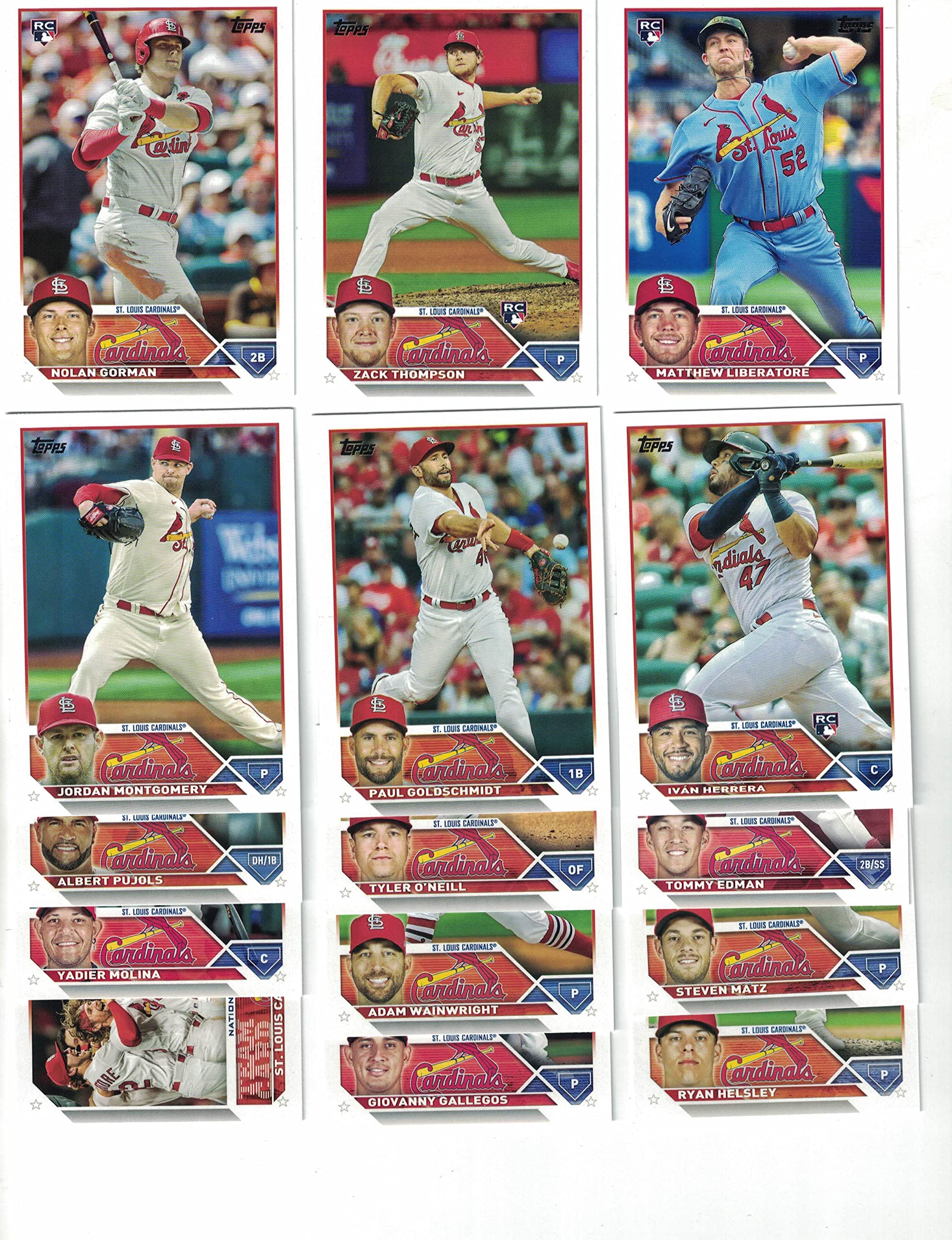 St. Louis Cardinals / 2023 Topps Baseball Team Set (Series 1 and 2) with (24) Cards ***PLUS Bonus Cards of former Cardinals Greats: Ozzie Smith, Stan Musial and Willie McGee!***