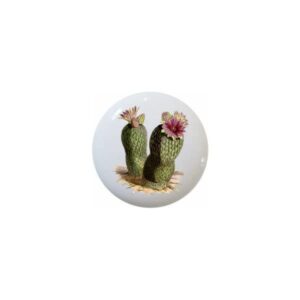 cactus by tgf cacti decorative ceramic dresser drawer pulls cabinet cupboard knobs (#07)