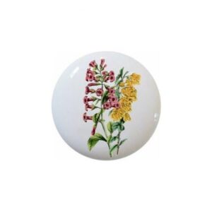 1840s Floral Pairings by TGF Decorative Ceramic Dresser Drawer Pulls Cabinet Cupboard Knobs (01 escallonia barberry)