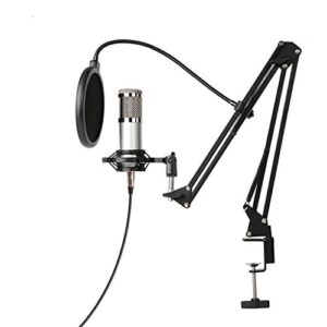 n/a Professional Condenser Computer Microphone with 3.5mm Standard Connector for Singing Recording Broadcast