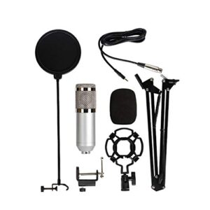 n/a Professional Condenser Computer Microphone with 3.5mm Standard Connector for Singing Recording Broadcast