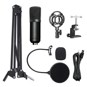 n/a condenser microphone computer usb port studio microphone for pc sound card professional microphones dj live
