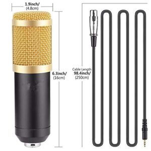 n/a Professional Condenser Microphone Microphone for Computer+Shock Mount+Foam Cap+Cable As Microphone