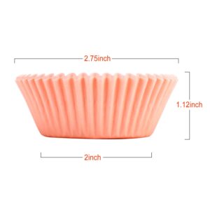 600 pcs Cupcake liners Rainbow Standard Paper Baking Cups Cupcake Liners Muffin Baking Cupcake Mold to Use for Pans