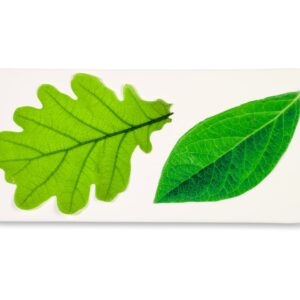 Parchment Paper Leaves for Cheese & Charcuterie Boards - Sisson Distribution Leaves (Pack of 20) (Spring Leaves)