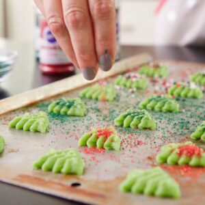 Wilton Preferred Press Cookie Press Set with 12 Shapes Discs for Originalö Cookies