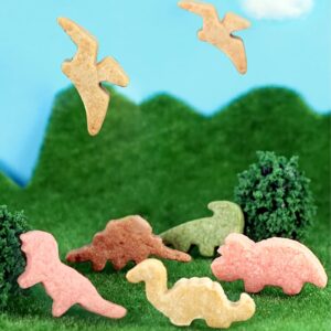 Dinosaur Cookie Cutter Set 10 Piece Dinosaur Footprint,Dinosaur Eggs,Brontosaurus,Camarasaurus,Stegosaurus,Triceratops Dinosaurs Mold for Kids Dinosaur Birthday Party Cakes,Biscuits and Sandwiches.