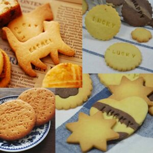Gracelife 73 pcs Alphabet, Number, Letter Symbols Biscuit Fondant Cake/Cookie Stamp Impress Embosser cutter - Mold Tool Set