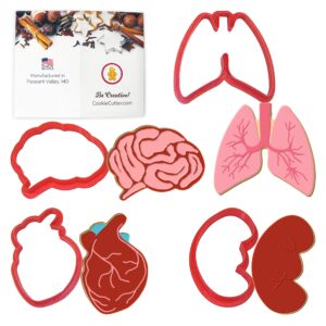 anatomical body parts cookie cutter 4 pc set – kidney, heart, lungs, brain plastic cookie cutters, made in usa