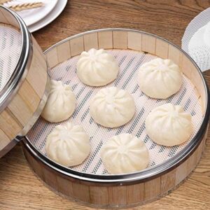 Coitak 12 inch 5PCS Non stick Silicone Steamer Liners, Mesh Mat Pad Steamed Buns Dumplings Baking Pastry Dim Sum Mesh