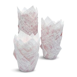 ashleigh's tulip cupcake liners - 100 blush ferns cupcake wrappers, baking cups, muffin cups, cupcake cups