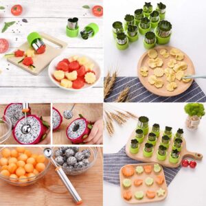 TIMGOU 12 Pcs Vegetable Fruit Cutter Shapes Set with Melon Baller Scoop and Cleaning Brush, Fruit and Mini Cookie Stamps Mold for Kids Crafts Baking Decorating Food-Green