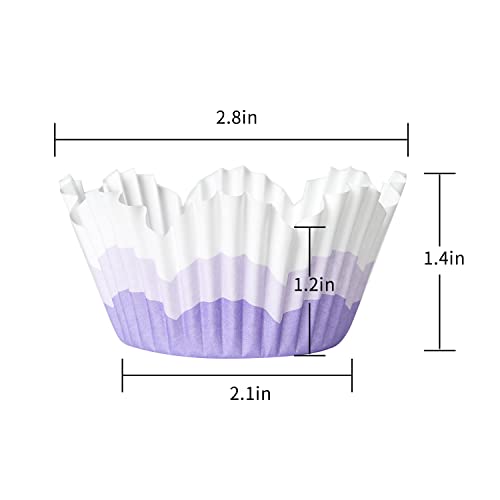 Barry's Home Standard Size Baking Cups, No Smells Rainbow Cupcake Liners, Paper Grease Proof Petal Muffin Wrappers, Pack of 192 (Strawberry Ice & Lavender)