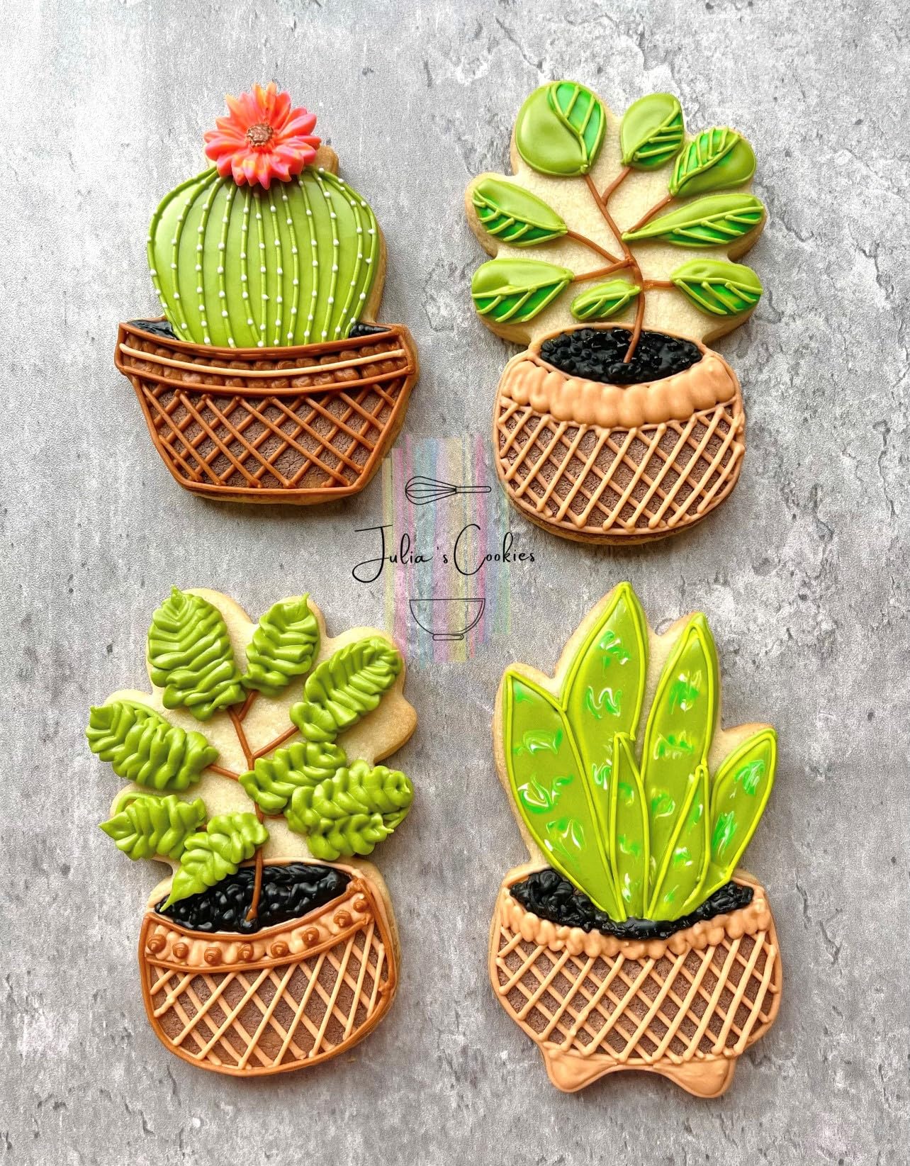 Tropical Houseplants Cookie Cutters 3-Pc. Set Made in the USA by Ann Clark, Fiddle Fig, Snake Plant, and Prickly Pear Cactus