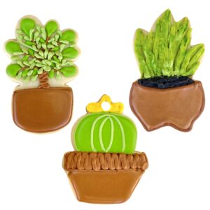 Tropical Houseplants Cookie Cutters 3-Pc. Set Made in the USA by Ann Clark, Fiddle Fig, Snake Plant, and Prickly Pear Cactus