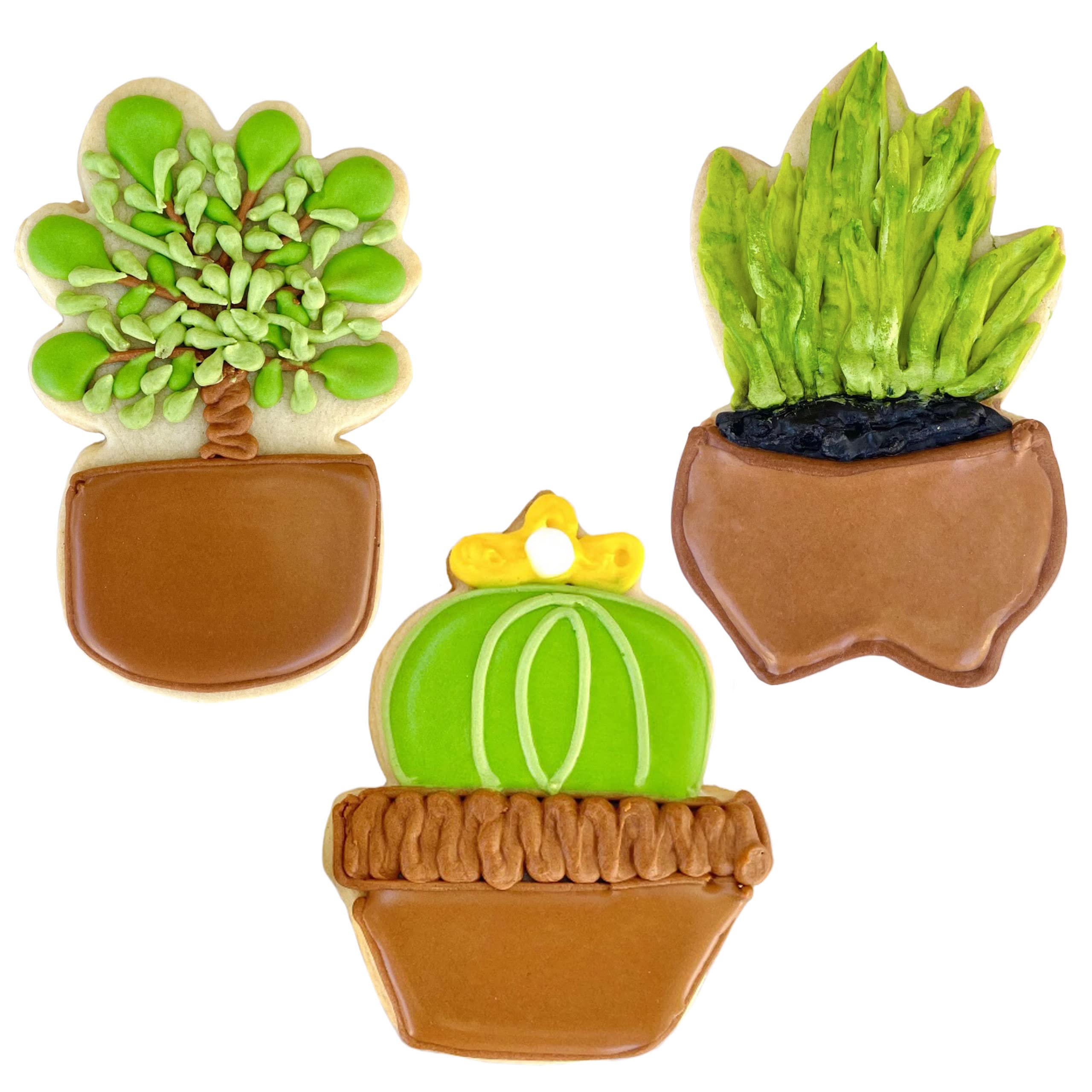 Tropical Houseplants Cookie Cutters 3-Pc. Set Made in the USA by Ann Clark, Fiddle Fig, Snake Plant, and Prickly Pear Cactus