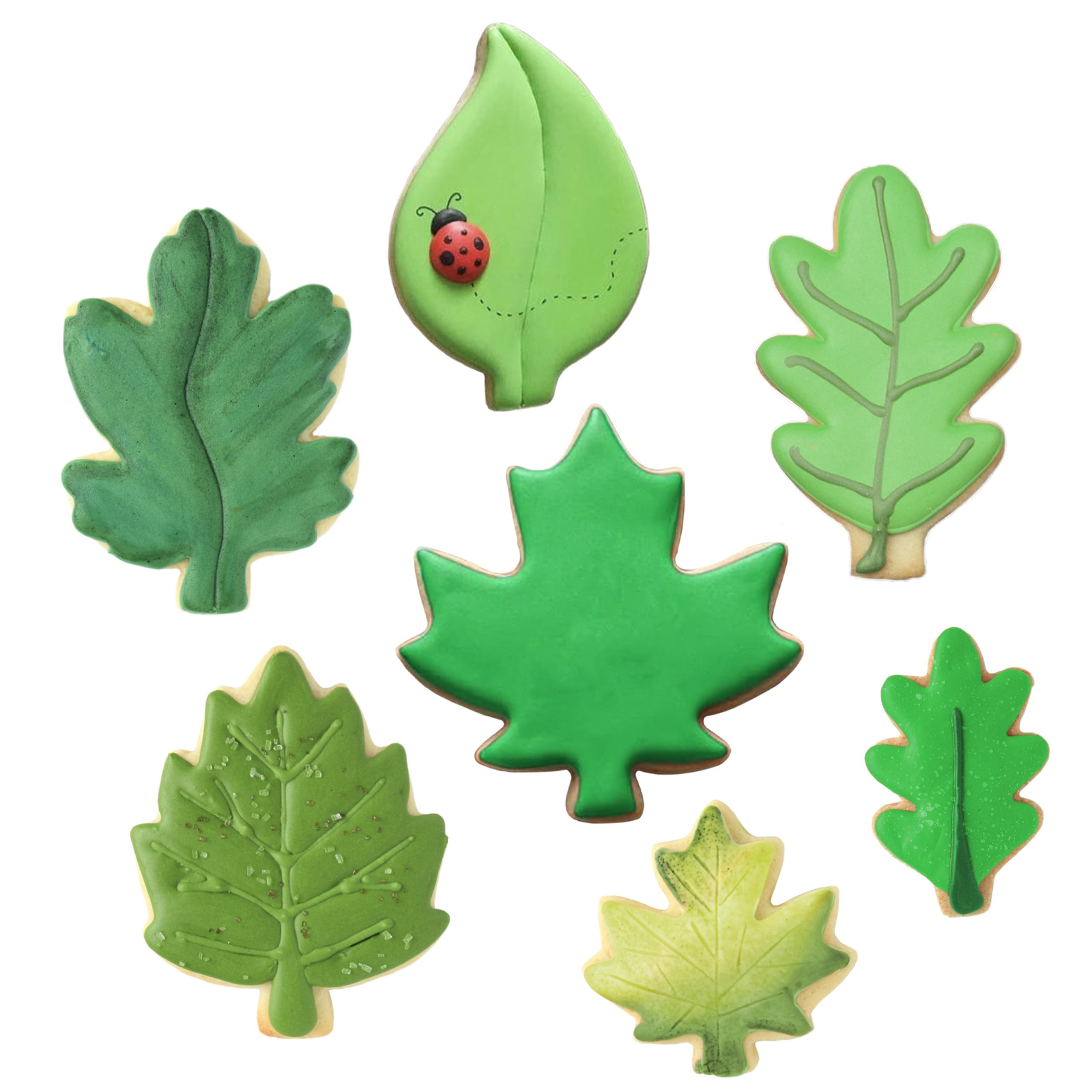 Spring Leaves Cookie Cutters 7-Pc. Set Made in the USA by Ann Clark, Oak, Teardrop, and Maple Leaf Shapes