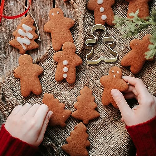 Bilipala 6 Pieces Metal Gingerbread Man Cookie Cutter Christmas Lebkuchen Cookie Molds