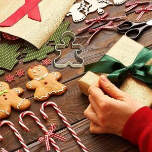 Bilipala 6 Pieces Metal Gingerbread Man Cookie Cutter Christmas Lebkuchen Cookie Molds