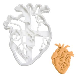 anatomical heart cookie cutter, 1 piece - bakerlogy