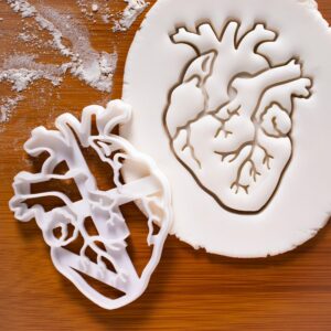 Anatomical Heart cookie cutter, 1 piece - Bakerlogy