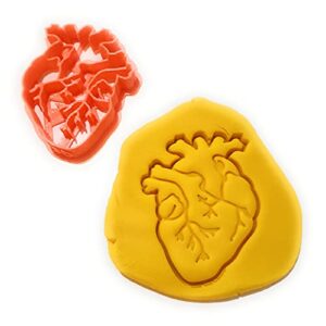 t3d cookie cutters human heart cookie cutter, suitable for cakes biscuit and fondant cookie mold for homemade treats, 3.56 in x 2.86 in x 0.55 in