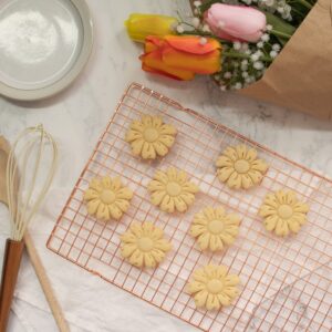 Daisy cookie cutter, 1 piece - Bakerlogy