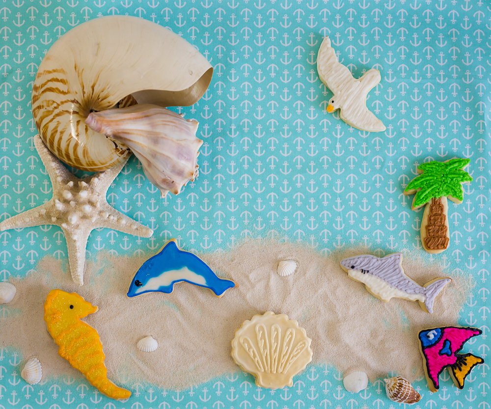 R&M International Seven Seas Ocean Cookie Cutters, Seagull, Angel Fish, Palm Tree, Seashell, Seahorse, Dolphin, Shark, 7-Piece Set