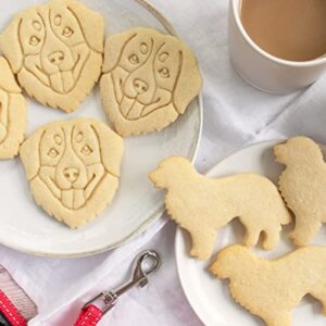 Set of 2 Bernese Mountain Dog cookie cutters (Designs: Face and Silhouette), 2 pieces - Bakerlogy