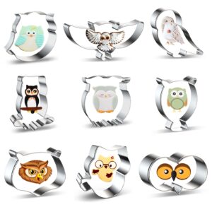 owl cookie cutter shapes set - 9 piece owl eye, owl face, owl head, cute cartoon owl shaped, spread wings owl bird animal cookie cutters fondant biscuit mold clay cutter for kids - stainless steel
