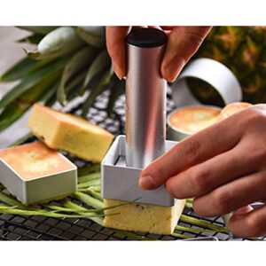 HELYZQ Pineapple Cake Stainless Steel Biscuit Mould,10pcs Square Rectangle Ellipse Heart Pineapple Flower Shape Pie Cake Cookie Mold Biscuit Cutter Stamp Press Cutting Tools