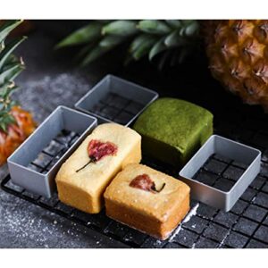 HELYZQ Pineapple Cake Stainless Steel Biscuit Mould,10pcs Square Rectangle Ellipse Heart Pineapple Flower Shape Pie Cake Cookie Mold Biscuit Cutter Stamp Press Cutting Tools