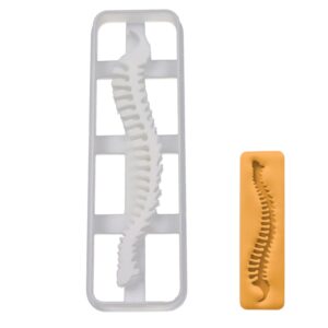 human spine cookie cutter, 1 piece - bakerlogy