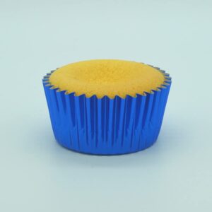 Huaswan Blue Foil Cupcake Liners Standard Paper Baking Cups for Party, Birthday and More, 240-Count