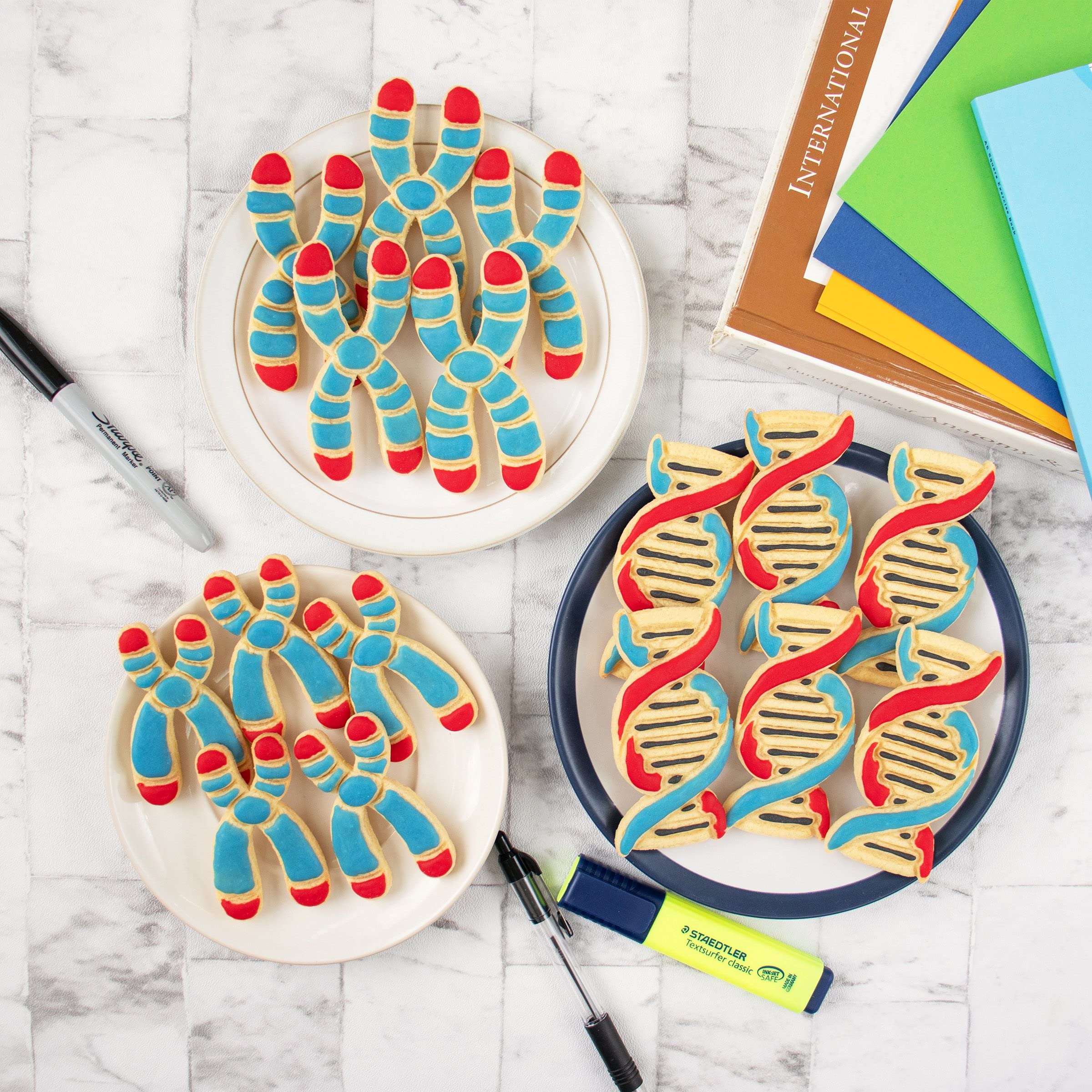 Set of 3 DNA themed cookie cutters (Designs: DNA, Chromosome and Chromosome Y), 3 pieces - Bakerlogy