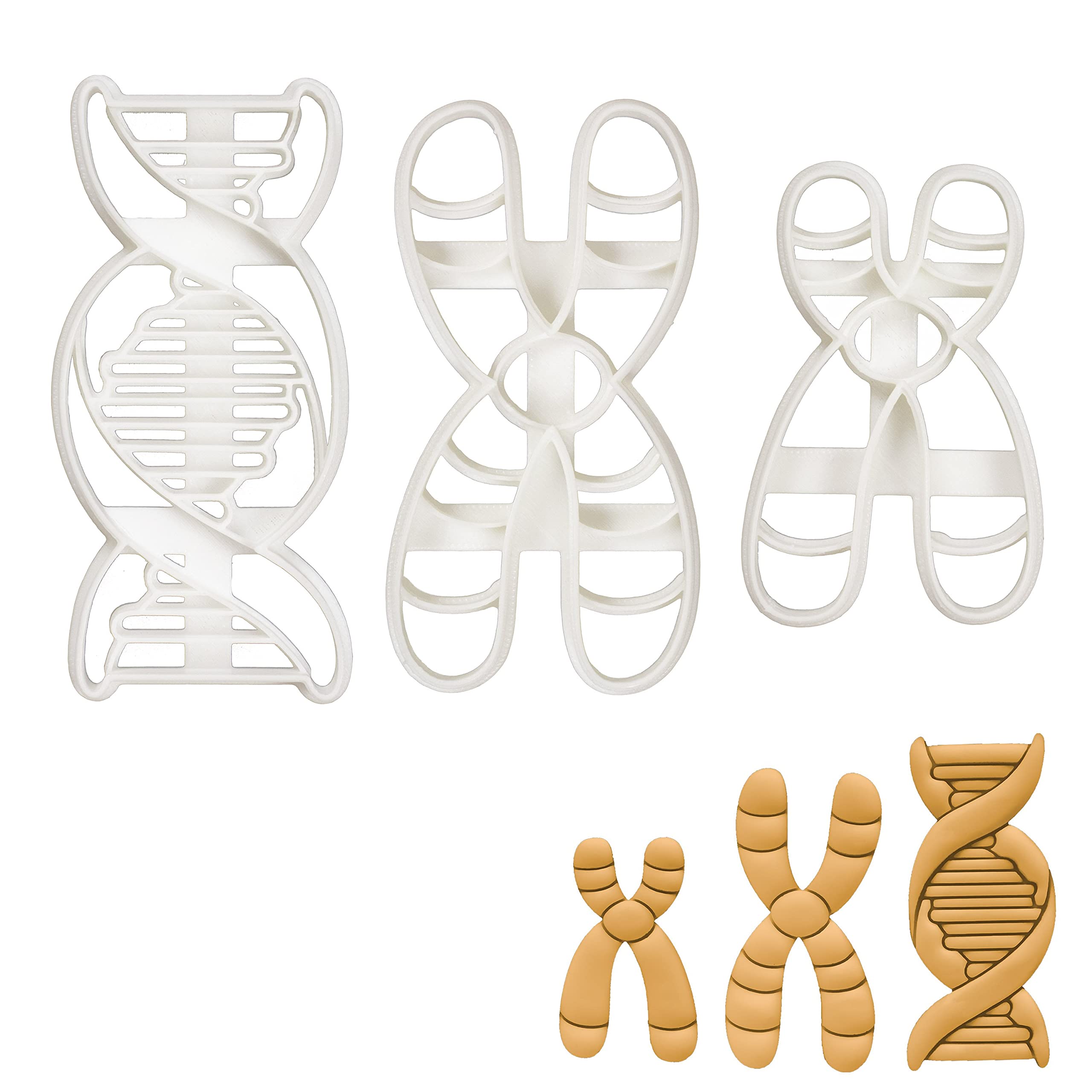 Set of 3 DNA themed cookie cutters (Designs: DNA, Chromosome and Chromosome Y), 3 pieces - Bakerlogy