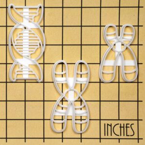 Set of 3 DNA themed cookie cutters (Designs: DNA, Chromosome and Chromosome Y), 3 pieces - Bakerlogy