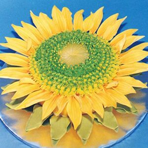 Sunflower Petal Cutters (set of 4 sizes)