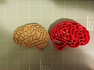 brain anatomy cookie cutter
