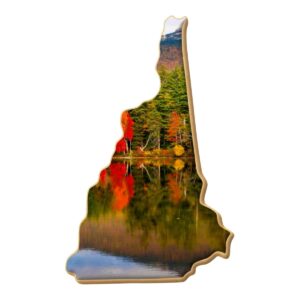 New Hampshire State 3.5 Inch Cookie Cutter from The Cookie Cutter Shop – Tin Plated Steel Cookie Cutter