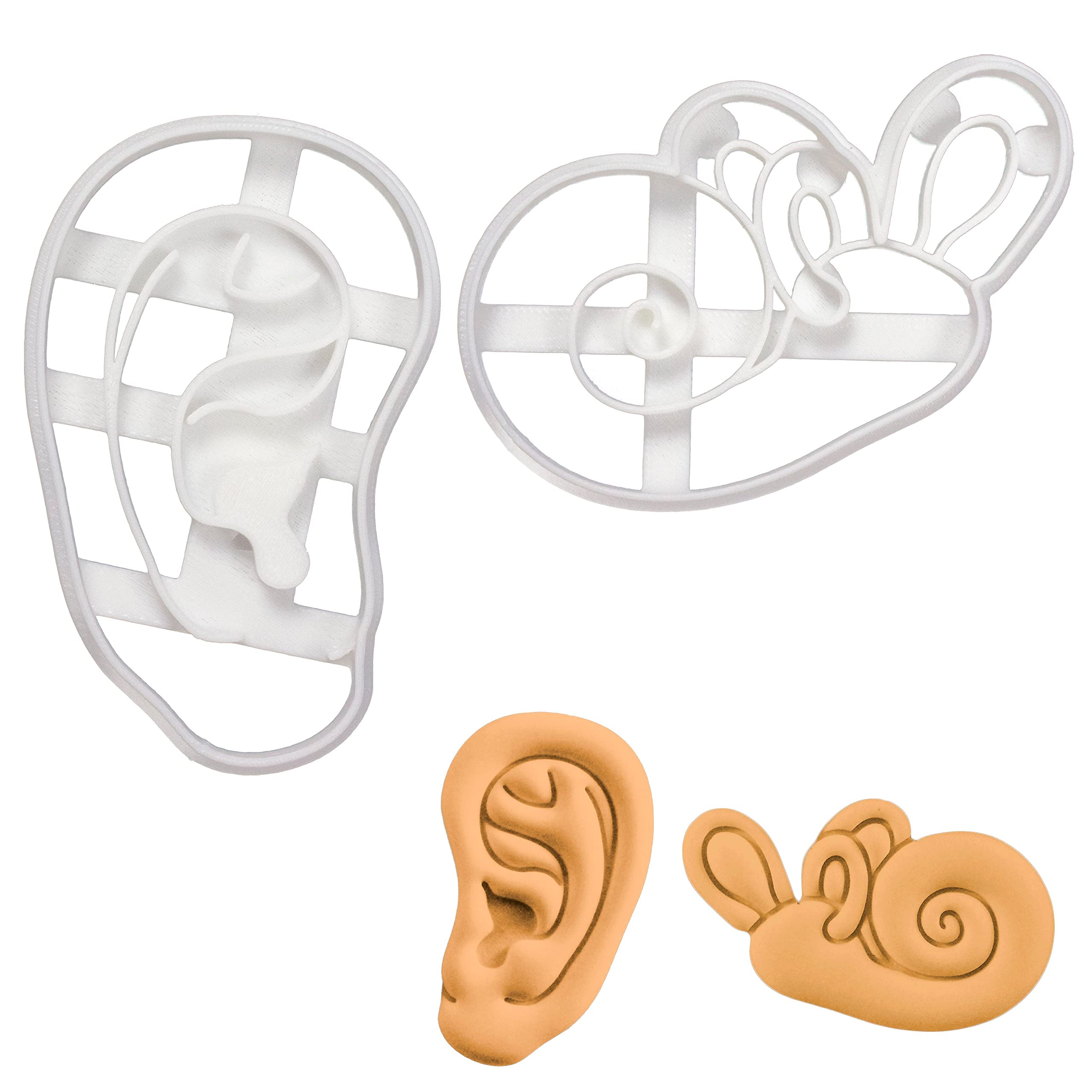 Set of 2 Ear cookie cutters (Designs: Anatomical Human Ear and Cochlea Inner Ear), 2 pieces - Bakerlogy