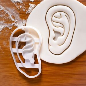 Set of 2 Ear cookie cutters (Designs: Anatomical Human Ear and Cochlea Inner Ear), 2 pieces - Bakerlogy