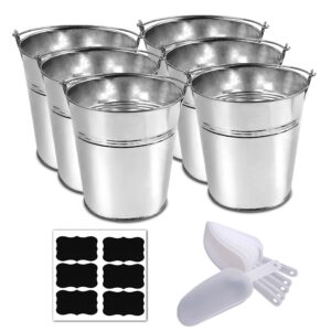 6 metal buckets with chalkboard stickers and plastic kitchen scoops, small galvanized buckets ,for birthday, wedding party, garden planters , party supplies,decorations ,5 inch tin buckets - (tie 6)
