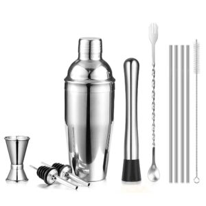 cocktail shaker set bar set, stainless steel bartender kit mixology drink mixer, bartending tools gifts: martini shaker 24oz, muddler, strainer, measuring jigger, alcohol pourer, mixing spoon